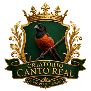 logo.png (138 KB)